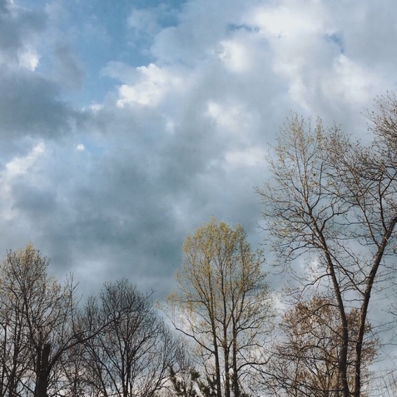 Meet your Posher, Anya - Picture 1 of 1